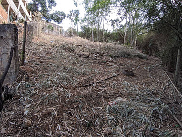 Terreno - Venda - Vila Isabel - Três Rios - RJ