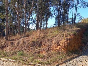 Terreno - Venda - Werneck. - Paraíba do Sul - RJ