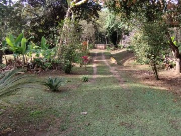 Sítio - Venda - Werneck. - Paraíba do Sul - RJ