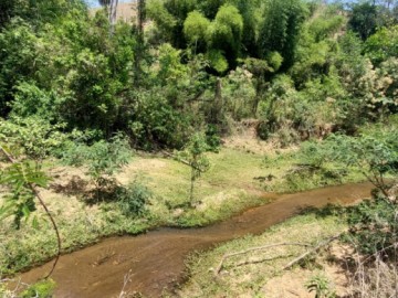 Sítio - Venda - Werneck. - Paraíba do Sul - RJ