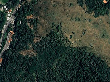 Terreno - Venda - Itaipava - Petrópolis - RJ