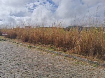 Terreno - Venda - Werneck. - Paraba do Sul - RJ