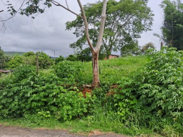 Terreno - Venda - Amapá - Paraíba do Sul - RJ