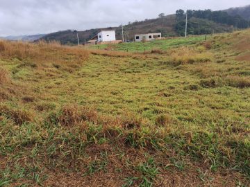 Terreno - Venda - Werneck. - Paraíba do Sul - RJ