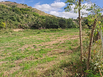 Terreno - Venda - Bar�o de Angra - Para�ba do Sul - RJ