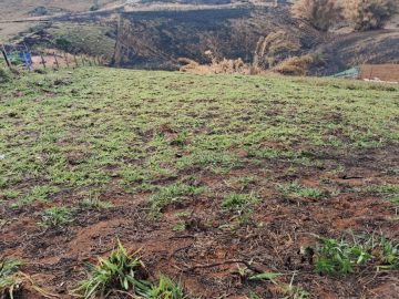 Terreno - Venda - Werneck. - Paraba do Sul - RJ