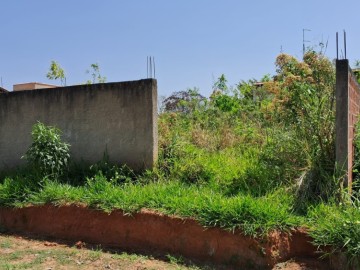Terreno - Venda - Werneck. - Paraíba do Sul - RJ