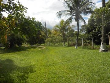Sítio - Venda - Werneck. - Paraíba do Sul - RJ