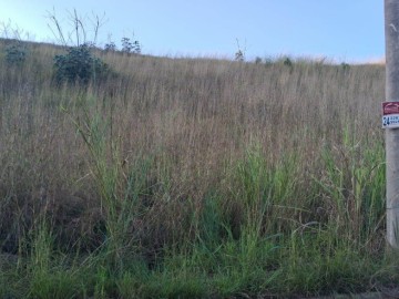 Terreno - Venda - Werneck. - Paraíba do Sul - RJ
